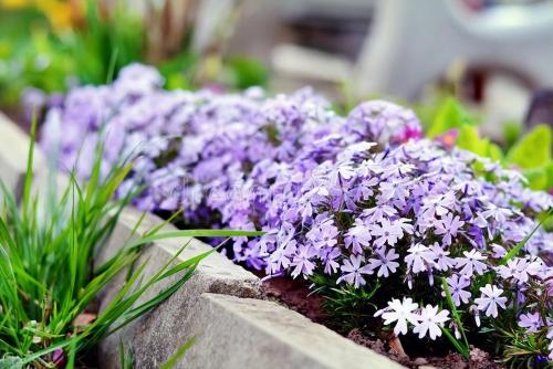 How to use aromatherapy, you will learn after reading