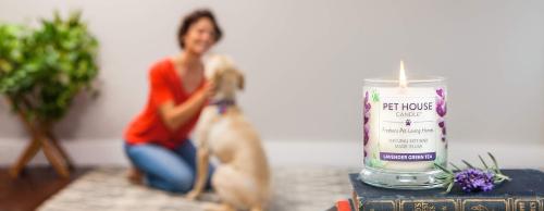 Light scented candles at home to freshen up the smell, but the owner should be careful, your dog may not be able to stand it. 